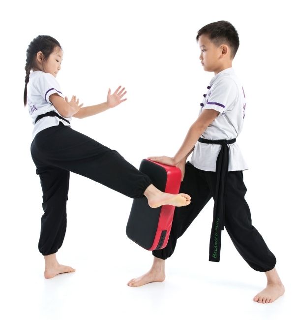 Martial Arts Classes for Kids - Mindful Wing Chun
