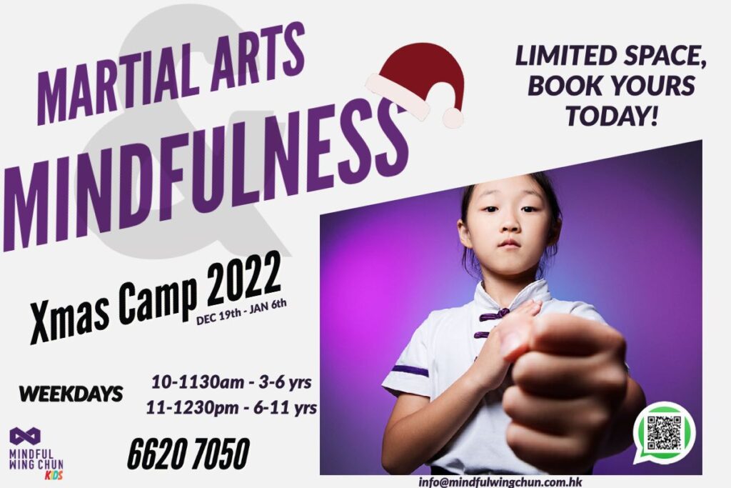 Xmas Camp 2022 Kids Martial Arts