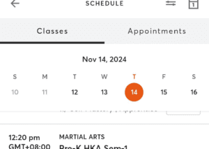 Mindbody Calender